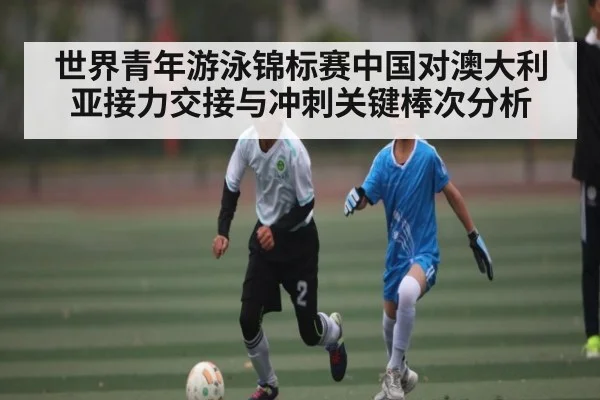 世界青年游泳锦标赛中国对澳大利亚接力交接与冲刺关键棒次分析