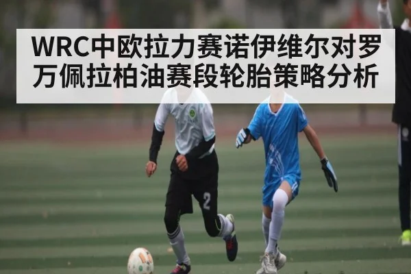 WRC中欧拉力赛诺伊维尔对罗万佩拉柏油赛段轮胎策略分析